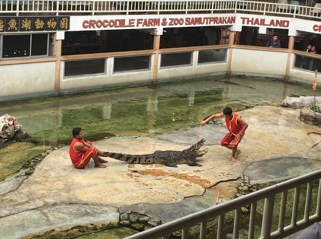 北攬鱷魚湖 北攬鱷魚湖